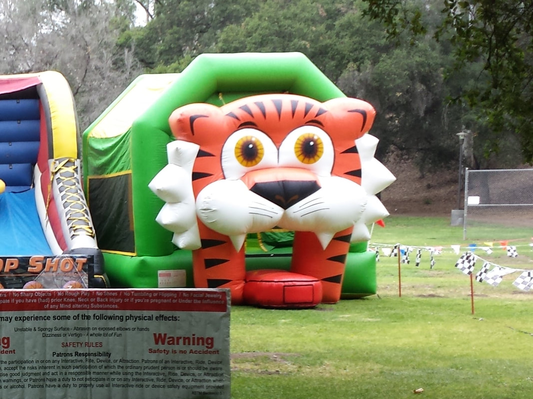 Tiger Themed Bouncer