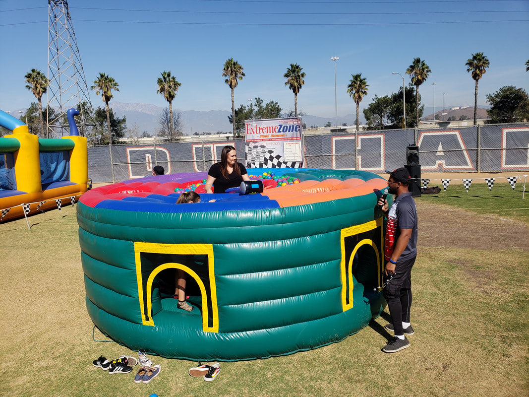 Whack A Mole Inflatable Game for Company Picnics and Parties